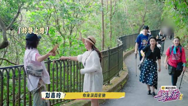 张柏芝邵子恒复刻喜剧之王，刘嘉玲导演新片引热议