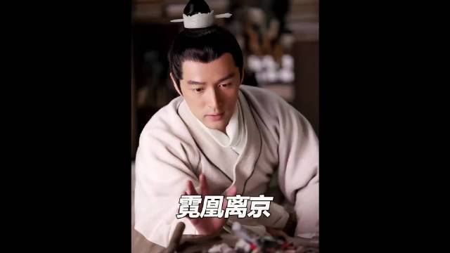 霓凰离京时遭南楚陵王挑衅，却不知对方的真正目的，是来认亲的