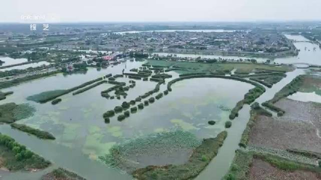 众星齐聚邯郸宣传片，12月13日共赏古城风华