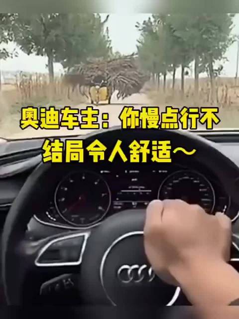 奥迪车主：算了，这次就饶了你！