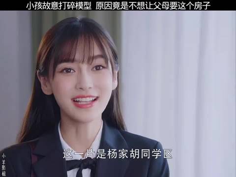 小孩故意打碎模型阻父母购房