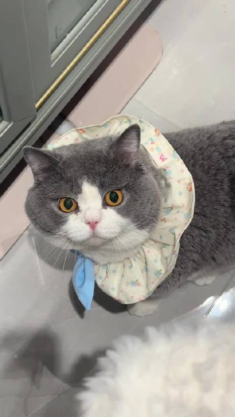 实物与声音严重不符！