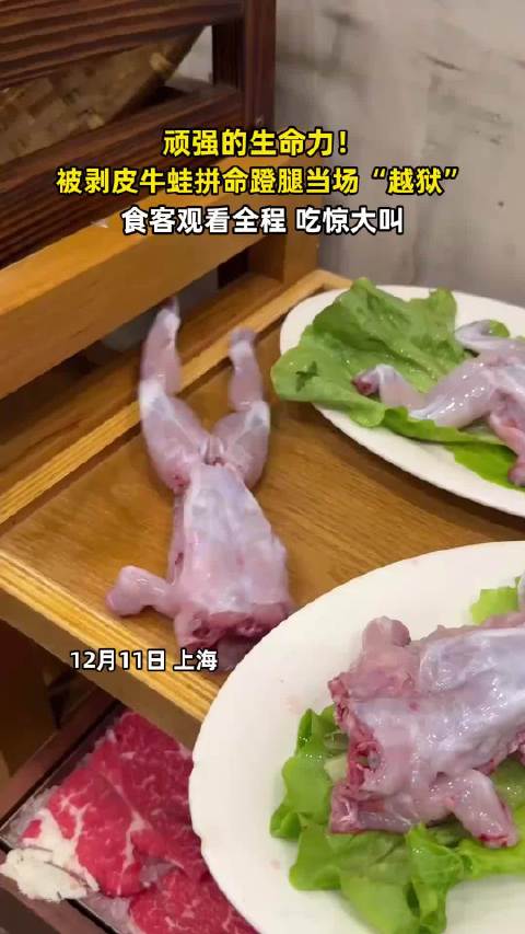 顽强的生命力！被剥皮牛蛙拼命蹬腿当场“越狱”，食客观看全程吃惊大叫