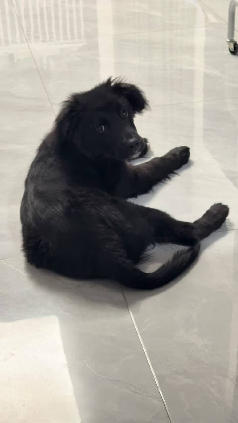 我终于明白，对你的爱~ 林俊杰