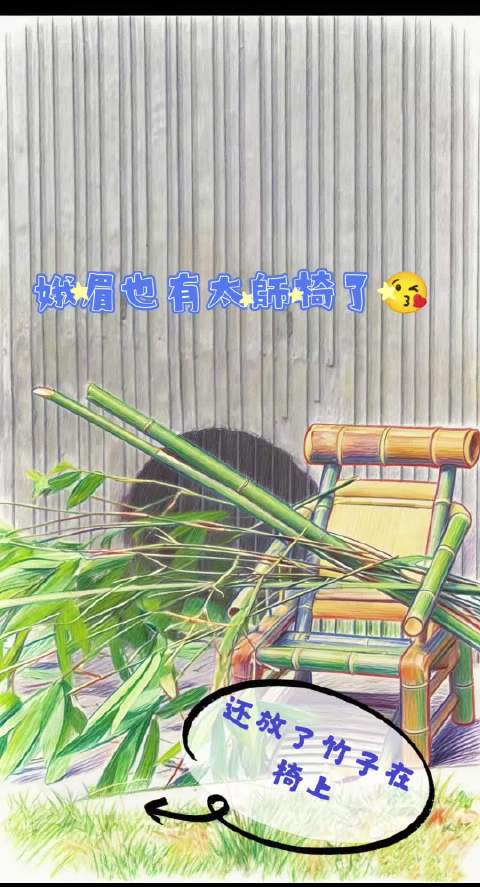 大熊猫娥眉院中添置太师椅，饲养员鼓励小七体验丰容设施
