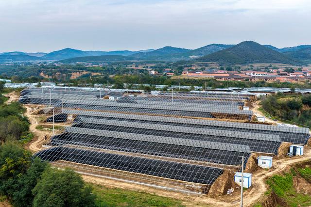 在极星农业技术指导和支持下，当地建设完成峡谷山珍水果西红柿无土栽培种植基地100亩、智慧农业大棚31座。梁栋摄