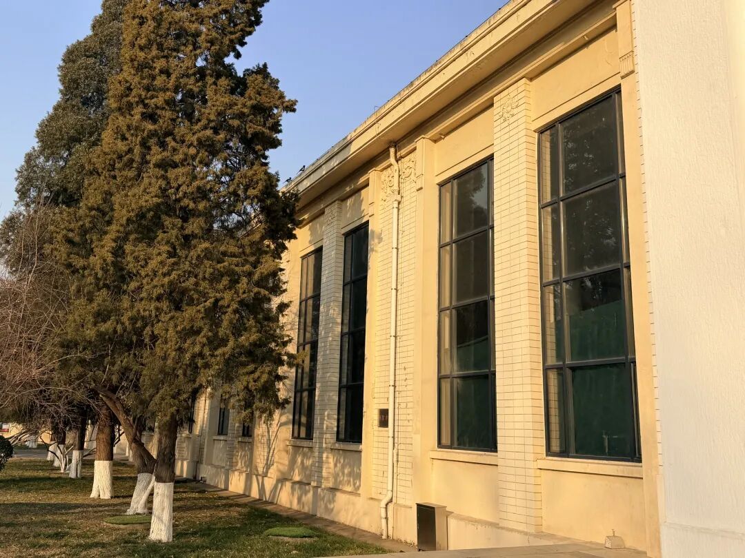 馆方在两块玻璃内部铺设了绿布。褚英硕 摄