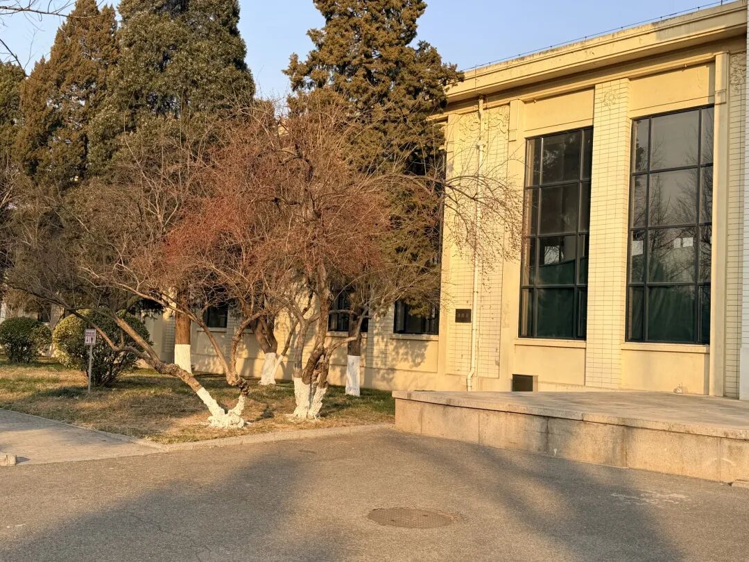 馆方在两块玻璃内部铺设了绿布。褚英硕 摄