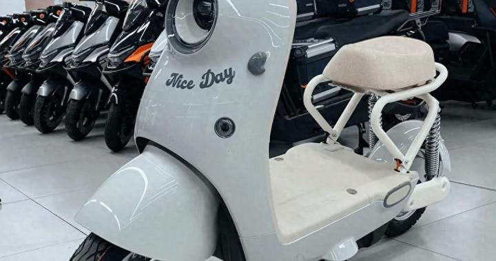 价格上涨500-1000元，它们才是电动车新国标的最大受益者