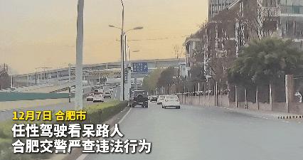 “抄近道”轧绿化带上高架，合肥交警：罚！