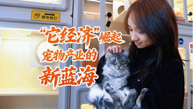 合肥成立全国首个宠物经济处