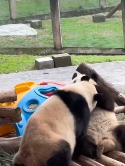 让子弹飞一会儿