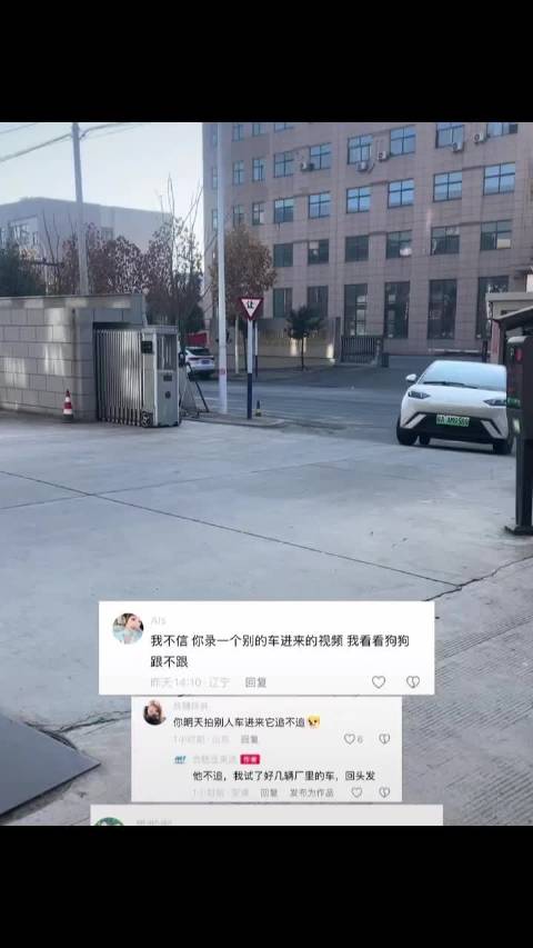 全网最会人情世故的狗狗:合肥金美途的旺旺