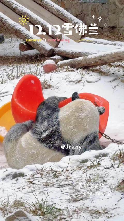 12.12萌兰 雪佛兰玩嗨了