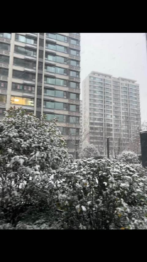 济南下雪了，魏晨你来不来？