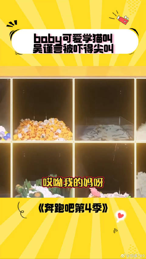 baby可爱学猫叫 蔡徐坤 郭麒麟