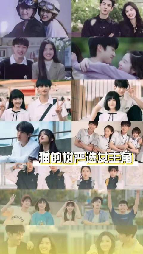猫的树严选女主含金量 ‖猫的树 ‖今天是太阳雨 ‖杨超越 ‖白鹿 ‖卢昱晓