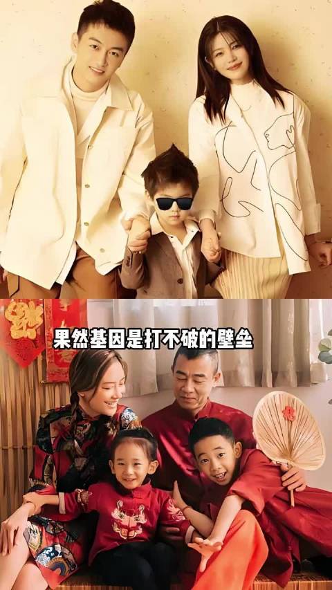 基因壁垒多强大？ 谢霆锋儿子如复制粘贴，陈妍希生了迷你版陈晓