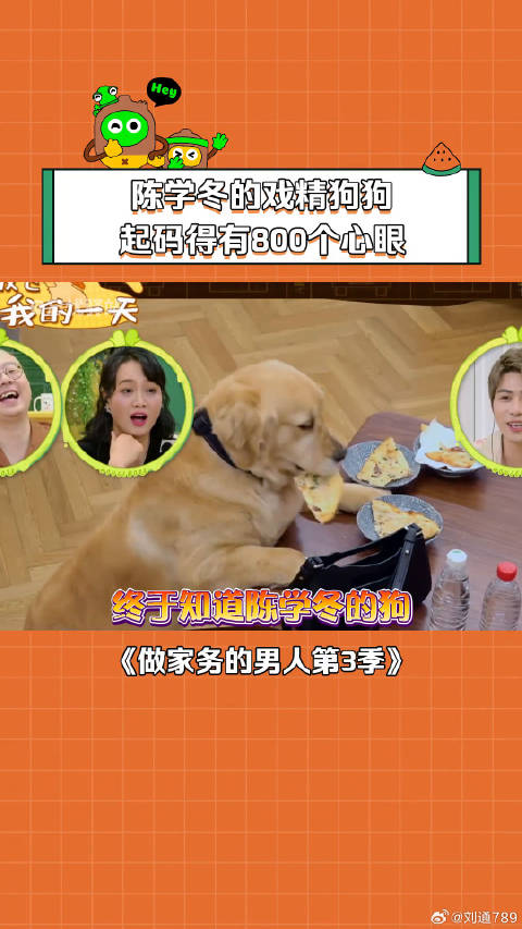 陈学冬 的狗叫戏精是有原因的 微博VC计划
