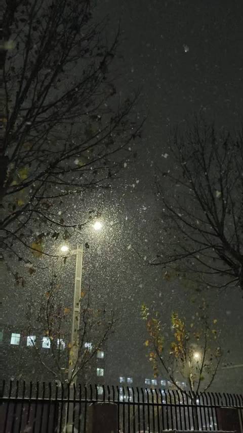 网友自述普通生活渴望改变