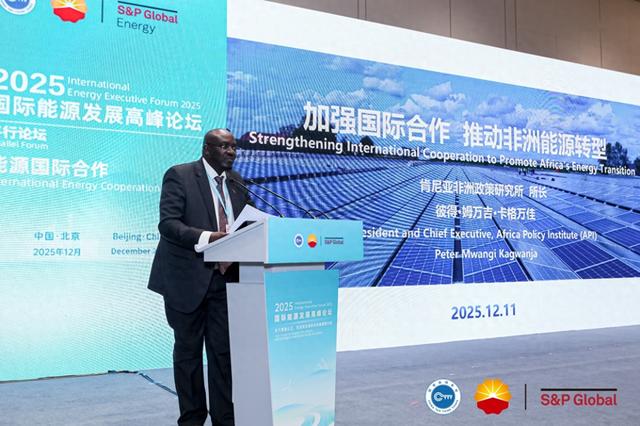 肯尼亚非洲政策研究所所长彼得·姆万吉·卡格万佳（主办方供图）