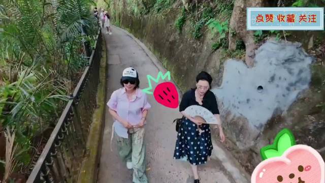 繁花团爬太平山，张柏芝邵子恒刘嘉玲宁静复刻《喜剧之王》名场面