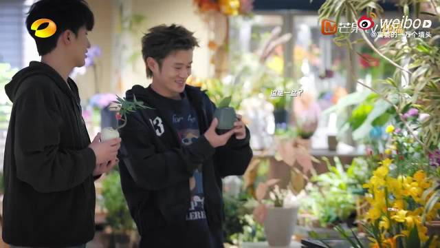 王勉大方承认恋爱脑属性获赞