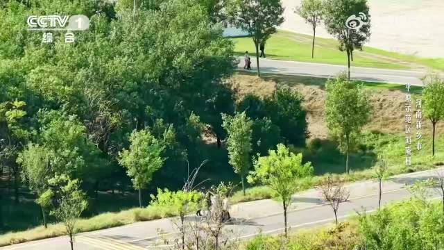 曾黎央视综艺捡垃圾获赞干活麻利认真