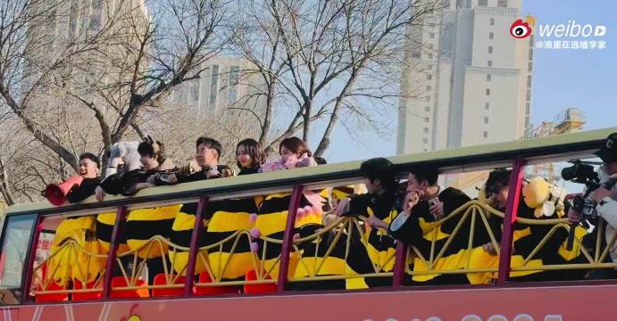 魏大勋杨迪王传君穿蜜蜂装喊周五晚高疯