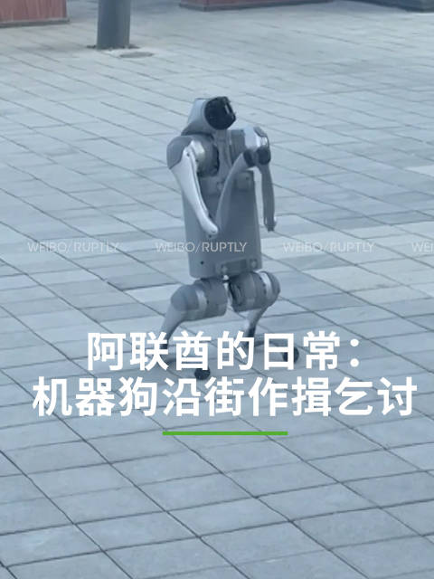 阿联酋的日常阿布扎比街头惊现偷感超重机器狗