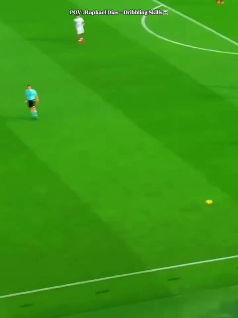 请欣赏拉菲尼亚技巧大赏