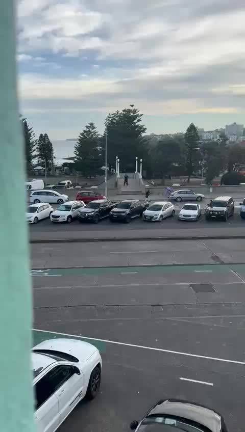 澳大利亚邦迪海滩枪击事件中，两名开枪男子视频曝光