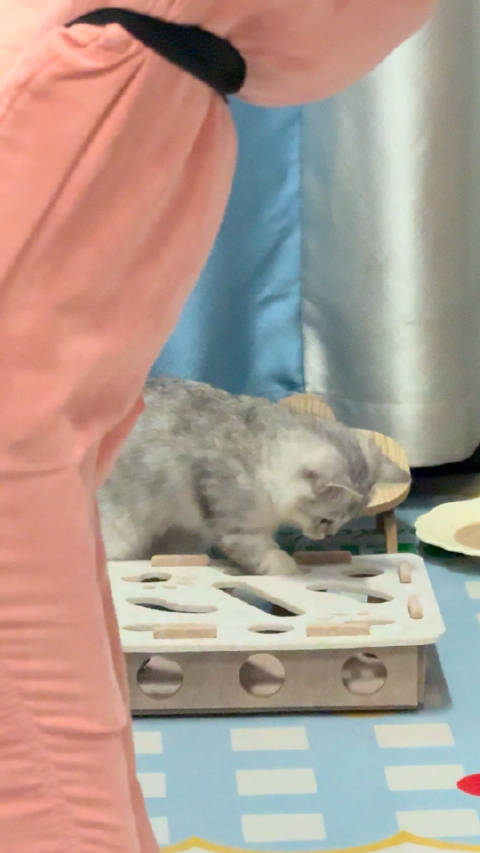 怎么这么聪明吧！比拖拉机会玩