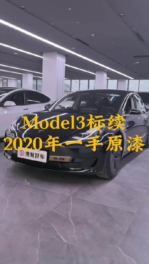 2020年特斯拉Model3一手原漆
