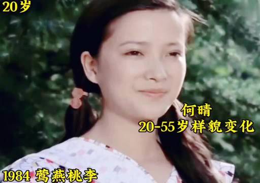 何晴20-55岁荧幕容貌变化，一路走好
