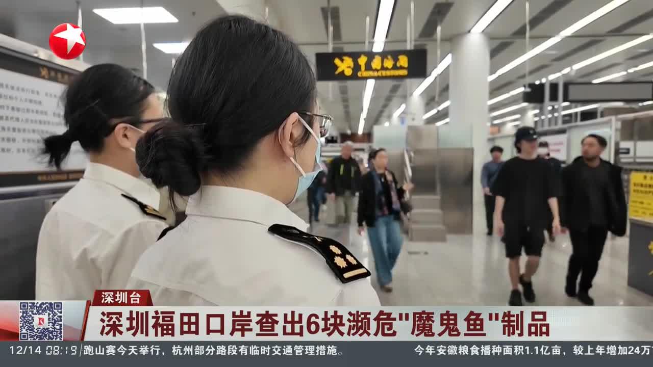 深圳福田口岸查出6块濒危“魔鬼鱼”制品