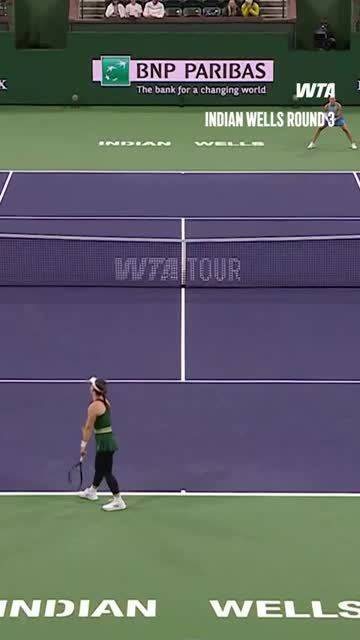 郑钦文2025年蝉联WTA最受欢迎单打球员