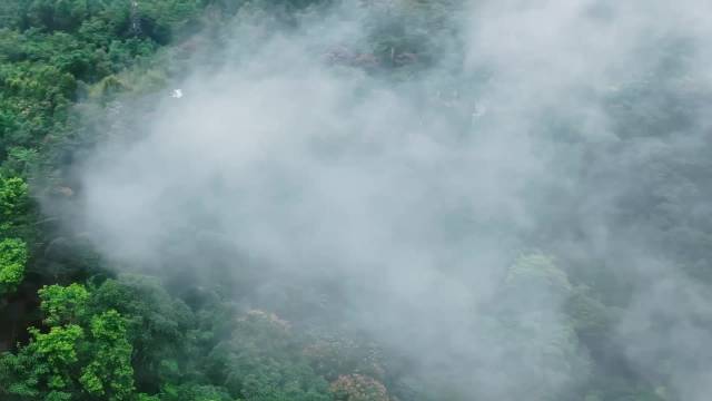 叶童刘嘉玲复刻新白娘子传奇经典片段