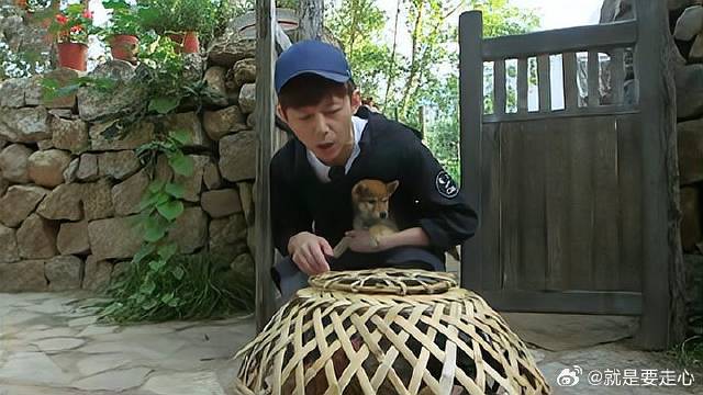 何炅偷感好重，一个人不敢拿鸡笼子，喊话黄磊一起“偷”