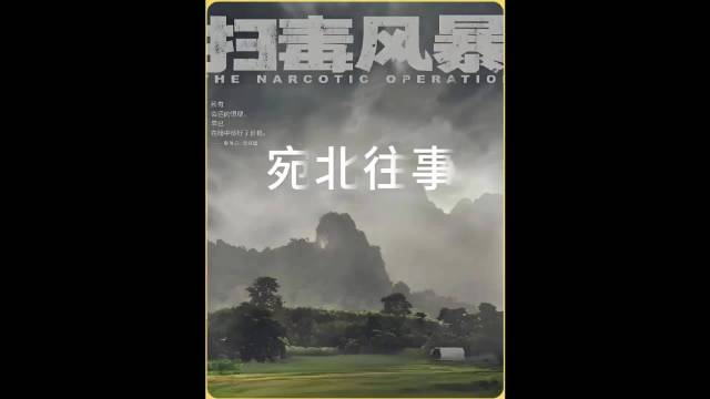 林强峰卧底扫毒风暴宛北往事