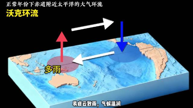 我国进入拉尼娜状态，厄尔尼诺与拉尼娜现象影响气候与渔业