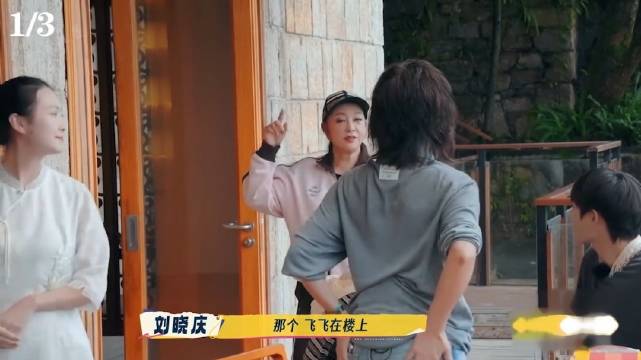 真性情何赛飞，我的笑点又被她承包了 柯淳 名场面