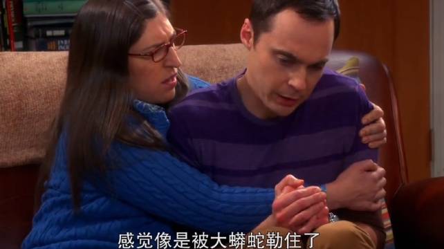 谢尔顿为了不和克莱皮合作，开始装病，以及发表大尺度言论！