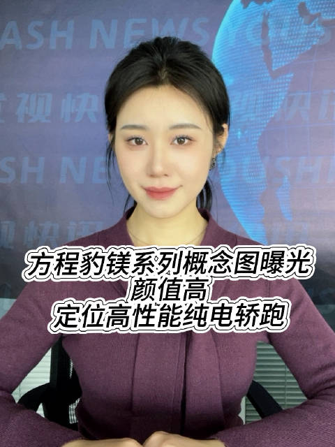 方程豹镁系列概念图曝光，颜值高，定位高性能纯电轿跑