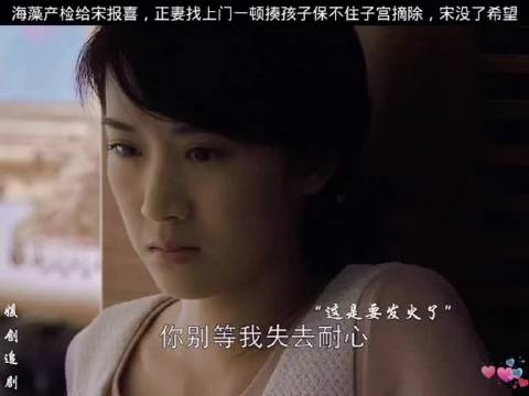 宋思明是真的爱海藻啊，后事都给想好了 蜗居 李念 张嘉译 邬君梅 海清