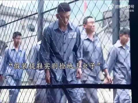 天才囚犯有多牛，看他如何仅凭一只虫子成功完成越狱！