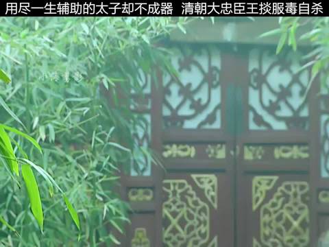 用尽一生培养的储君却不是东西，王掞含泪服毒自尽， 雍正王朝