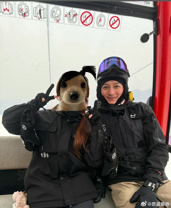 别说真别说维嘉不会真的是中国混血的吧？