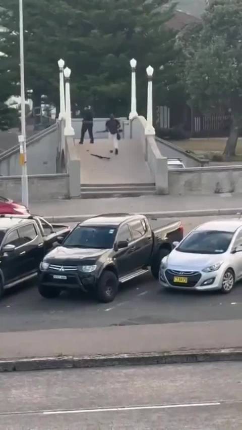 澳大利亚邦迪海滩枪击案致16死40伤，枪手被捕过程曝光