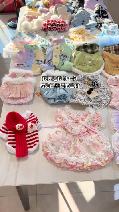 又是羡慕小狗的一天